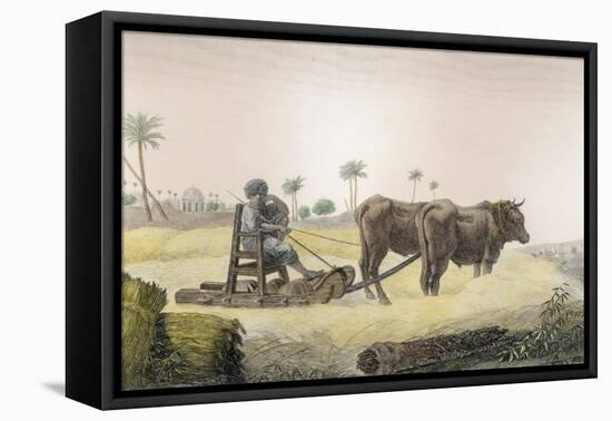 Harvesting Corn, Vol.Ii Arts and Trades of Description of Egypt, Pub., 1822-Nicolas Jacques Conte-Framed Stretched Canvas