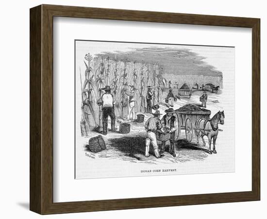 Harvesting Corn-null-Framed Giclee Print