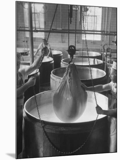 Harvesting Curd from the Whey, and Lifting Curd Out of Copper Kettles-null-Mounted Photographic Print