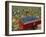 Harvesting Grapes in a Vineyard in the Rhone Valley, Rhone Alpes, France-Michael Busselle-Framed Photographic Print