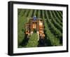 Harvesting Grapes, Near Castillon, Gironde, Aquitaine, France-Michael Busselle-Framed Photographic Print