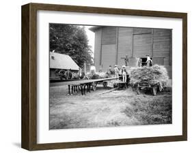 Harvesting Hay, Circa 1909-Asahel Curtis-Framed Giclee Print