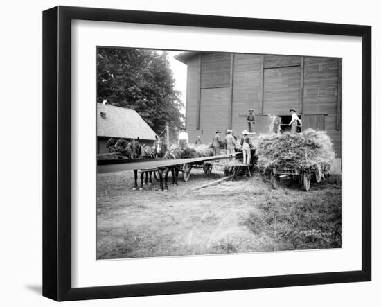 Harvesting Hay, Circa 1909-Asahel Curtis-Framed Giclee Print