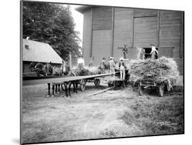 Harvesting Hay, Circa 1909-Asahel Curtis-Mounted Giclee Print