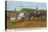 Harvesting in Algeria-null-Stretched Canvas