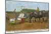 Harvesting in Algeria-null-Mounted Art Print