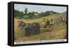 Harvesting in Finland-null-Framed Stretched Canvas