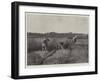 Harvesting in Japan-null-Framed Giclee Print