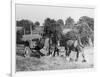 Harvesting in Kent with a Pair of Shire Horses-null-Framed Art Print