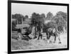 Harvesting in Kent with a Pair of Shire Horses-null-Framed Art Print