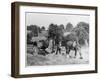 Harvesting in Kent with a Pair of Shire Horses-null-Framed Art Print