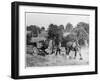 Harvesting in Kent with a Pair of Shire Horses-null-Framed Art Print