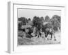 Harvesting in Kent with a Pair of Shire Horses-null-Framed Art Print