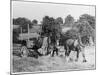 Harvesting in Kent with a Pair of Shire Horses-null-Mounted Art Print