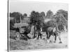 Harvesting in Kent with a Pair of Shire Horses-null-Stretched Canvas