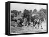 Harvesting in Kent with a Pair of Shire Horses-null-Framed Stretched Canvas