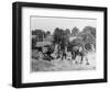 Harvesting in Kent with a Pair of Shire Horses-null-Framed Art Print