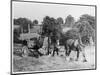 Harvesting in Kent with a Pair of Shire Horses-null-Mounted Art Print