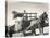 Harvesting in Sussex with a Shire Horse and Cart-null-Stretched Canvas