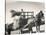 Harvesting in Sussex with a Shire Horse and Cart-null-Stretched Canvas