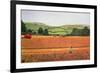 Harvesting in the Cotswolds-Maggie Rowe-Framed Giclee Print