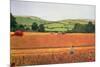 Harvesting in the Cotswolds-Maggie Rowe-Mounted Giclee Print