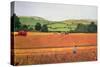 Harvesting in the Cotswolds-Maggie Rowe-Stretched Canvas