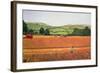 Harvesting in the Cotswolds-Maggie Rowe-Framed Giclee Print