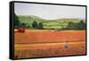 Harvesting in the Cotswolds-Maggie Rowe-Framed Stretched Canvas