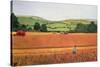 Harvesting in the Cotswolds-Maggie Rowe-Stretched Canvas
