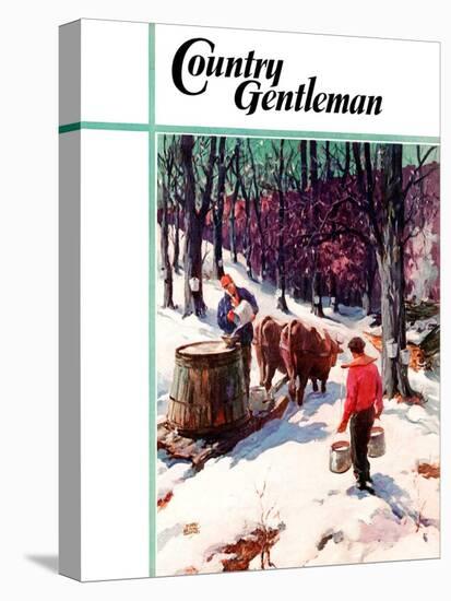 "Harvesting Maple Sap," Country Gentleman Cover, March 1, 1940-B. Summers-Stretched Canvas