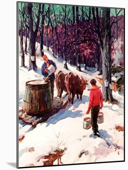 "Harvesting Maple Sap,"March 1, 1940-B. Summers-Mounted Giclee Print