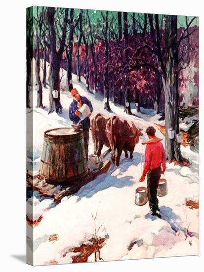 "Harvesting Maple Sap,"March 1, 1940-B. Summers-Stretched Canvas