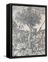 Harvesting of Pepper on Island of Java, Engraving from Universal Cosmology by Andre Thevet-null-Framed Stretched Canvas