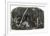 Harvesting of rubber in the forests of Brazil-French School-Framed Giclee Print