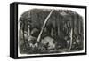 Harvesting of rubber in the forests of Brazil-French School-Framed Stretched Canvas