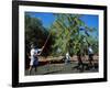 Harvesting Olives in Grove, Puglia, Italy-Oliviero Olivieri-Framed Photographic Print