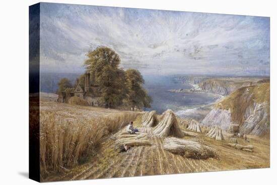 Harvesting on the South Coast, 1869-Edmund George Warren-Stretched Canvas