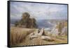 Harvesting on the South Coast-Edmund G. Warren-Framed Stretched Canvas