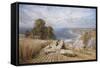 Harvesting on the South Coast-Edmund G. Warren-Framed Stretched Canvas