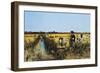 Harvesting Rice in Low Lands of Verona, 1877-Giacomo Favretto-Framed Giclee Print