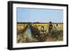 Harvesting Rice in Low Lands of Verona, 1877-Giacomo Favretto-Framed Giclee Print