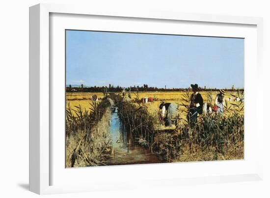 Harvesting Rice in Low Lands of Verona, 1877-Giacomo Favretto-Framed Giclee Print