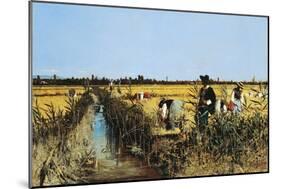 Harvesting Rice in Low Lands of Verona, 1877-Giacomo Favretto-Mounted Giclee Print