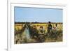 Harvesting Rice in Low Lands of Verona, 1877-Giacomo Favretto-Framed Giclee Print