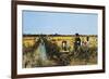 Harvesting Rice in Low Lands of Verona, 1877-Giacomo Favretto-Framed Giclee Print