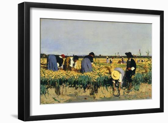Harvesting Rice in Low Lands of Verona-Giacomo Favretto-Framed Giclee Print