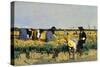 Harvesting Rice in Low Lands of Verona-Giacomo Favretto-Stretched Canvas