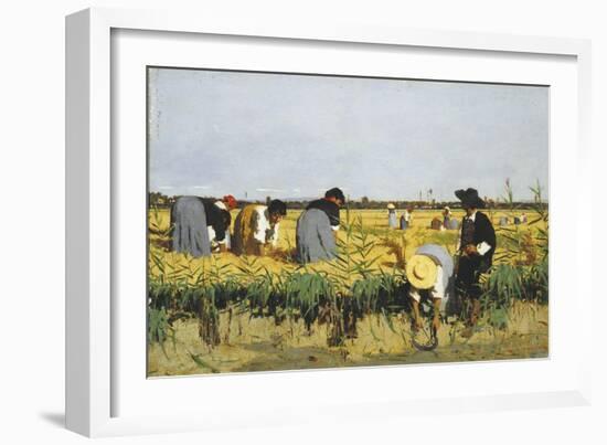 Harvesting Rice in Lowlands of Verona, 1878-Giacomo Favretto-Framed Giclee Print