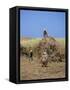 Harvesting Sugar Cane, Mauritius, Indian Ocean, Africa-G Richardson-Framed Stretched Canvas